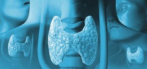 A importância do iodo para a glândula tiroide