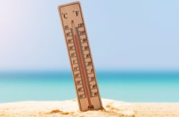 Hipertiroidismo: intolerância ao calor e hipersudação.