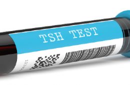 Tiroide, a glândula do metabolismo