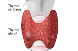 Nódulo da Tiroide